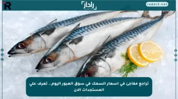 تراجع مفاجئ في أسعار السمك في سوق العبور اليوم.. تعرف على المستجدات الآن
